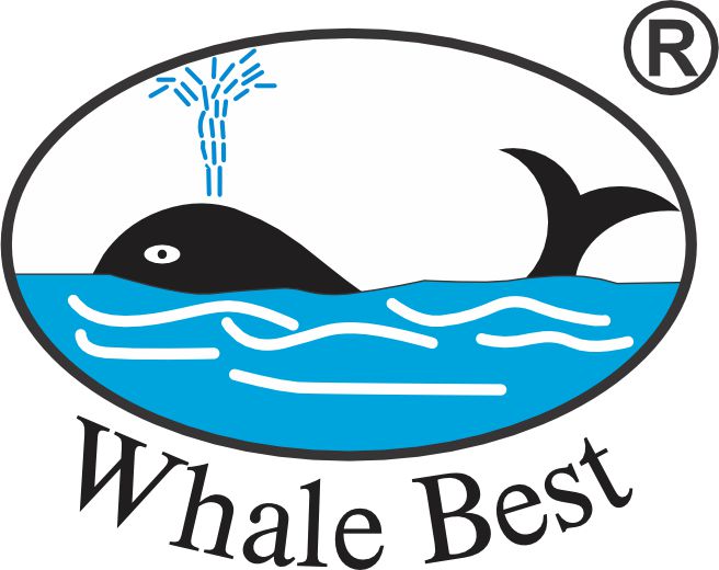import hermoza logo whale best